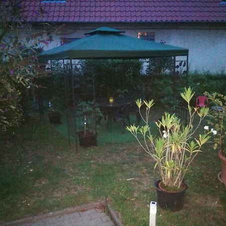 Ferienwohnung Am Finkenherd Dankerode  Екстер'єр фото